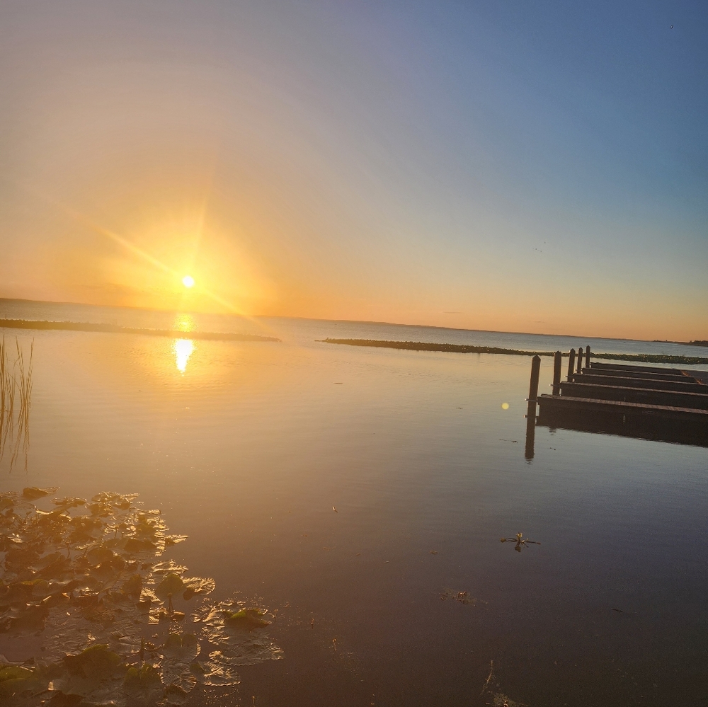 Meet your Posher, Chanquilla